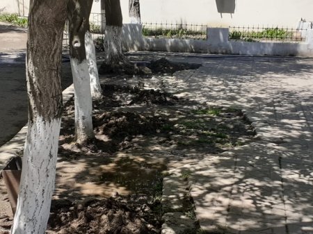 İnzibati binanın önündə cinayət xarakterli əməl-Video/Foto