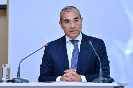 "Ötən il özəlləşdirilmiş müəssisələrə 14,6 mln manat investisiya qoyulub" - Nazir