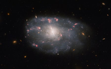 Hubble yeni "yanlış" spiral qalaktika kəşf etdi