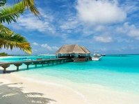 Alimlər Maldiv adalarını dəniz səviyyəsindən altı metr hündürlüyə qaldırmağı təklif edirlər